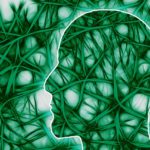 Regenerarea neuronilor