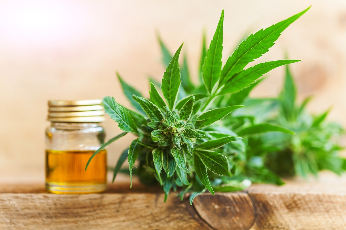 Oncoforte CBD ULTRA, tratament cancer cancer
