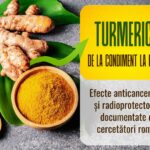 Turmericul in cancer