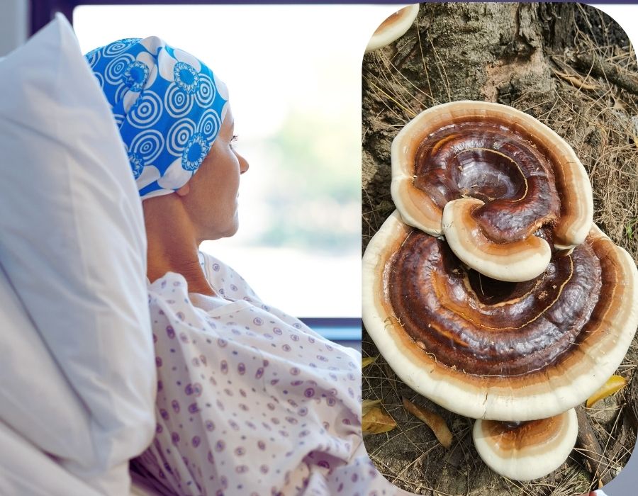 Un supliment mai mult decat necesar in afectiunile tumorale