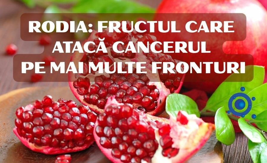 Rodia - fructul care atacă cancerul pe mai multe fronturi