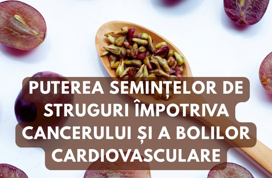 Puterea semintelor de struguri in cancer si bolile cardiovasculare