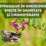 Astragalus in oncologie