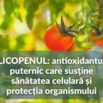 Licopenul
