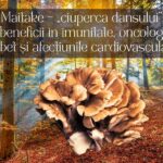 Maitake - ciuperca dansului cu beneficii in oncologie